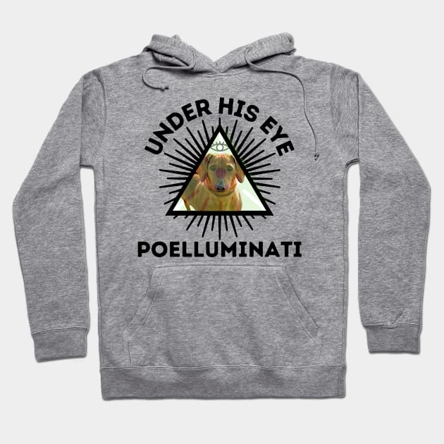 Poelluminati Hoodie by Aint It Scary